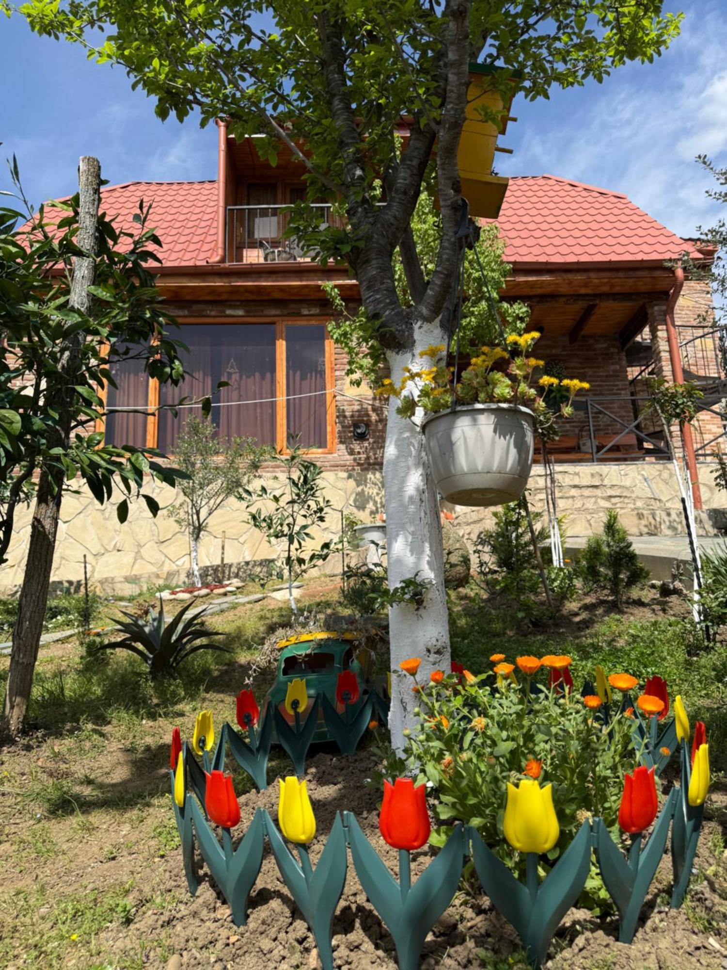 Sunshine House Villa Kutaisi Exteriör bild